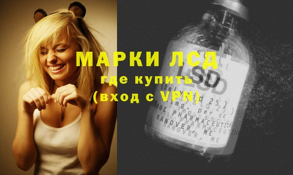 a pvp Аркадак