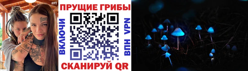 магазин    Радужный  Галлюциногенные грибы прущие грибы 